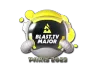 Sticker | BLAST.tv | Paris 2023