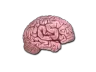 Sticker | CS On The Mind
