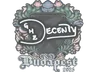 Sticker | decenty | Budapest 2025