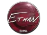 Sticker | Ethan | Katowice 2019
