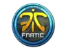 Sticker | Fnatic (Foil) | Cologne 2014