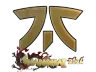 Sticker | Fnatic (Gold) | Shanghai 2024