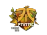 Sticker | Fnatic (Holo) | Cologne 2016