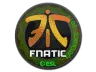 Sticker | Fnatic (Holo) | Katowice 2019