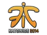 Sticker | Fnatic | Katowice 2014