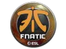 Sticker | Fnatic | Katowice 2019