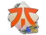Sticker | Fnatic | Rio 2022