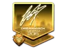 Sticker | fox (Gold) | Cluj-Napoca 2015