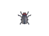 Sticker | Fruit Fly (Foil)