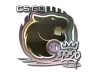 Sticker | FURIA | 2020 RMR