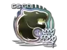 Sticker | FURIA (Foil) | 2020 RMR