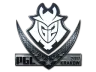 Sticker | G2 Esports (Foil) | Krakow 2017