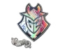 Sticker | G2 Esports (Holo) | Paris 2023