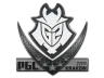 Sticker | G2 Esports | Krakow 2017