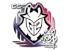 Sticker | G2 (Foil) | 2020 RMR