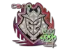 Sticker | G2 (Holo) | 2020 RMR