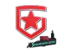 Sticker | Gambit Gaming | Stockholm 2021