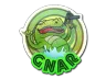 Sticker | Green Gnar