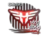 Sticker | Heroic (Foil) | 2020 RMR
