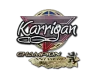 Sticker | karrigan (Champion) | Antwerp 2022