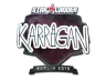 Sticker | karrigan (Foil) | Berlin 2019