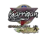 Sticker | karrigan (Glitter, Champion) | Antwerp 2022