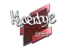 Sticker | Kjaerbye | Boston 2018