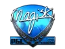 Sticker | Magisk (Foil) | Krakow 2017
