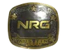 Sticker | NRG (Gold) | Austin 2025