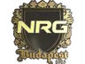 Sticker | NRG (Gold) | Budapest 2025