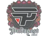Sticker | paiN Gaming | Budapest 2025