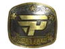 Sticker | paiN Gaming (Gold) | Austin 2025