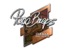 Sticker | pashaBiceps | Boston 2018