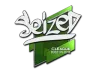 Sticker | seized | Boston 2018