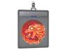 Sticker Slab | Baby Howl