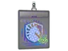 Sticker Slab | Liquid (Holo) | 2020 RMR