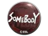 Sticker | somebody | Katowice 2019