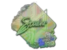Sticker | Staehr (Holo) | Rio 2022
