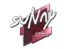 Sticker | suNny | Boston 2018