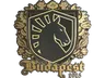 Sticker | Team Liquid (Gold) | Budapest 2025