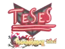 Sticker | TeSeS | Shanghai 2024