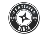Sticker | The Ninja