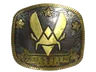 Sticker | Vitality (Gold) | Austin 2025