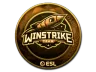 Sticker | Winstrike Team (Gold) | Katowice 2019