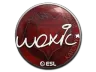 Sticker | woxic | Katowice 2019