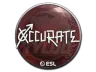 Sticker | xccurate | Katowice 2019