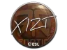 Sticker | Xizt | Katowice 2019