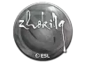Sticker | zhokiNg | Katowice 2019