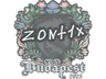 Sticker | zont1x | Budapest 2025