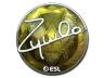 Sticker | ZywOo (Foil) | Katowice 2019
